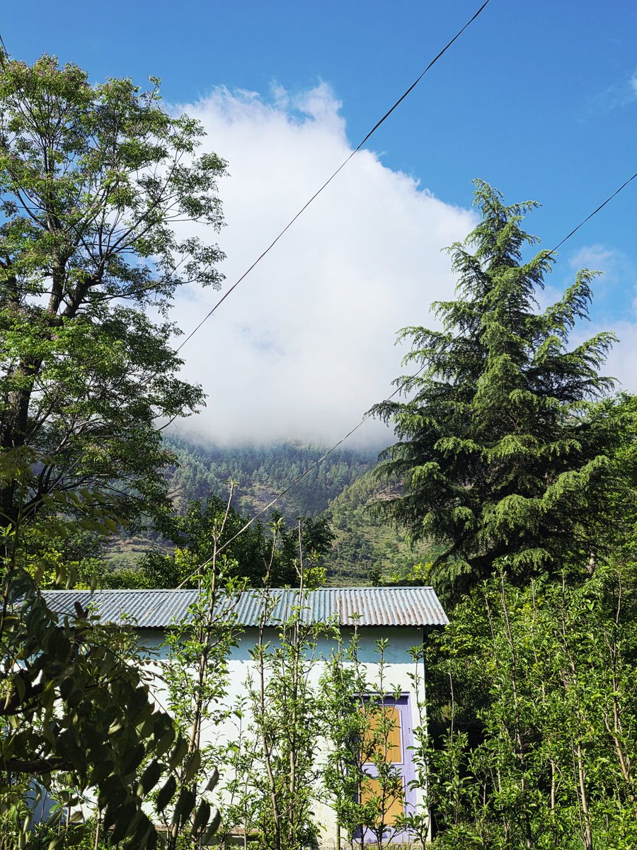 Queen of Himachal tweet media