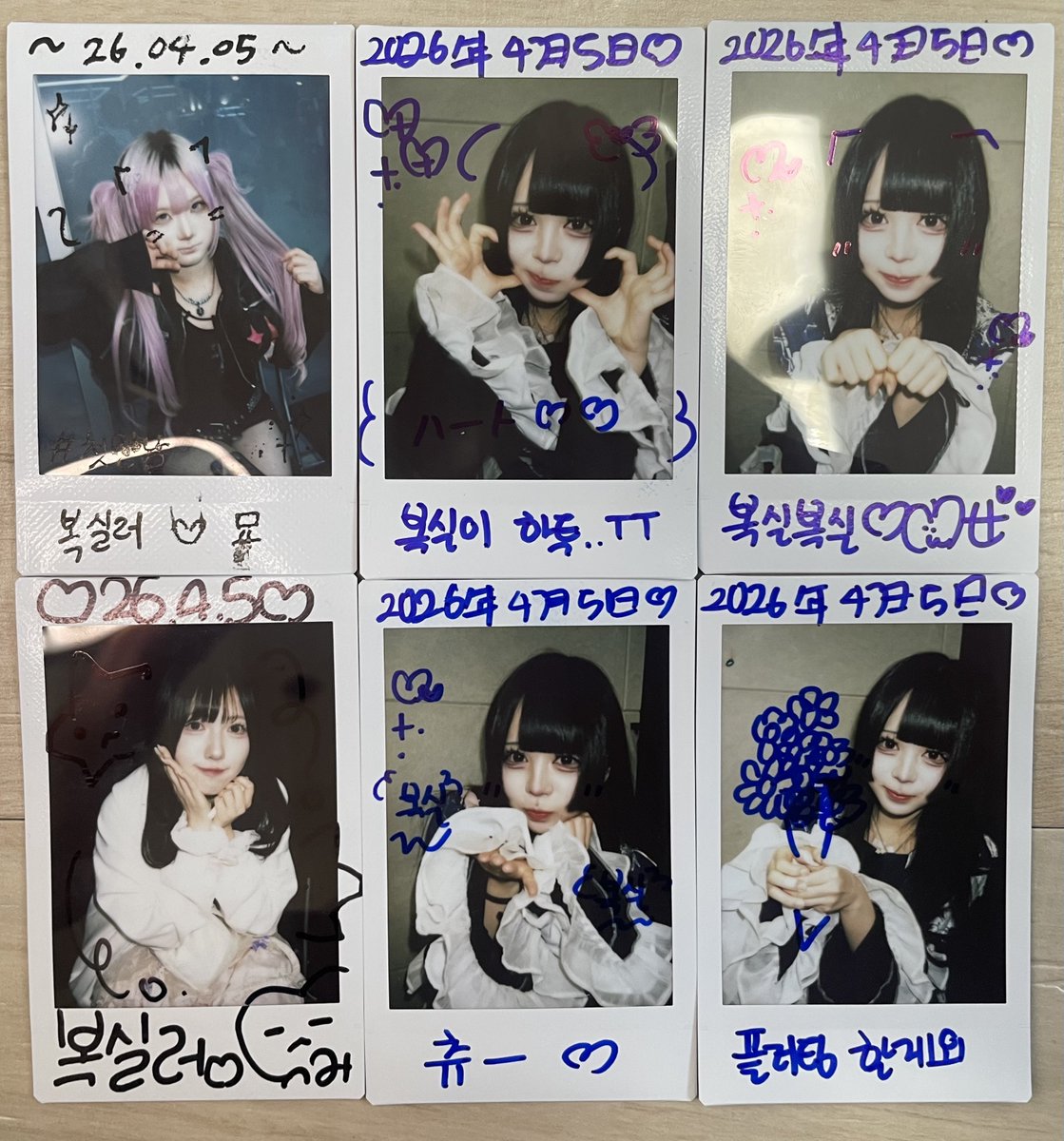 복실러 tweet media