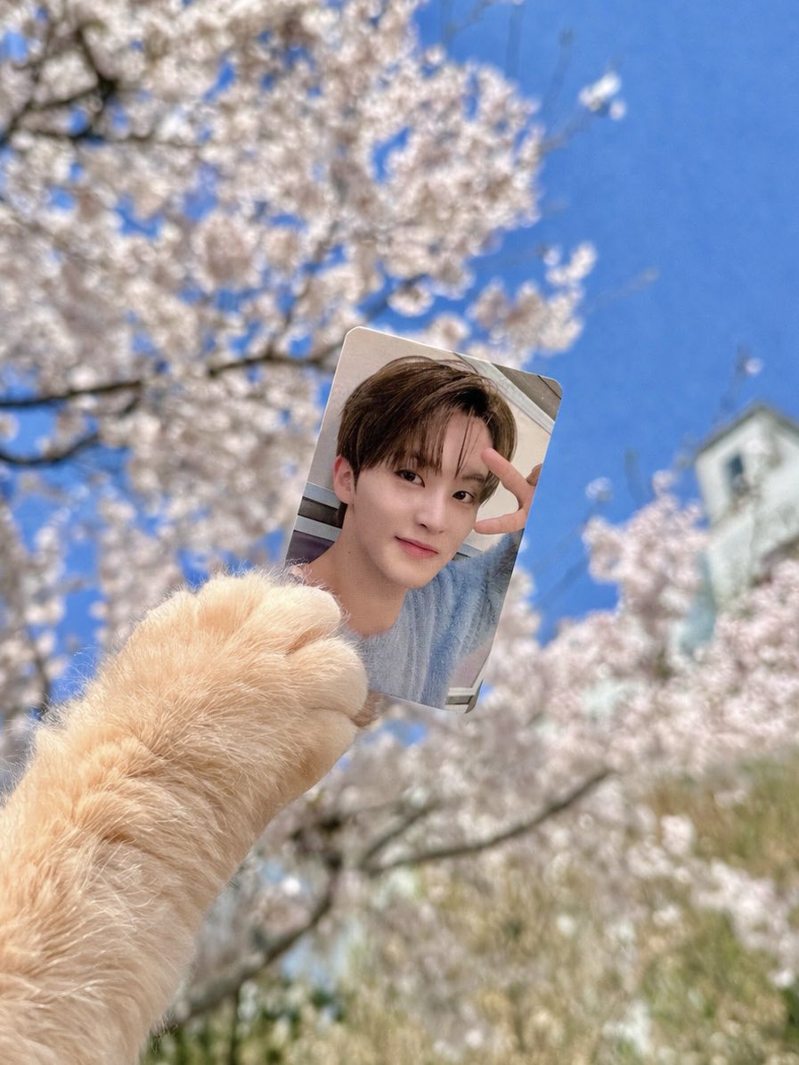 🫑호두두 ᴛʜᴇ ғɪʀsᴛғʀᴜɪᴛ🫑 tweet media