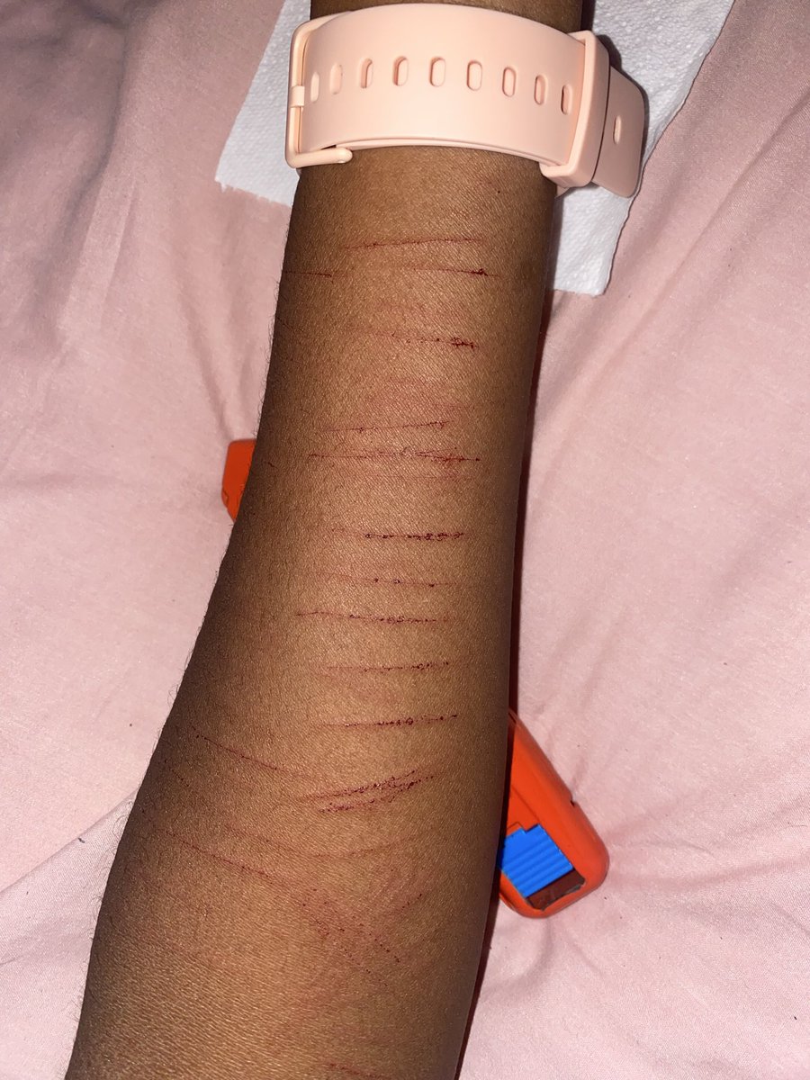 Toomuchsauce tweet media