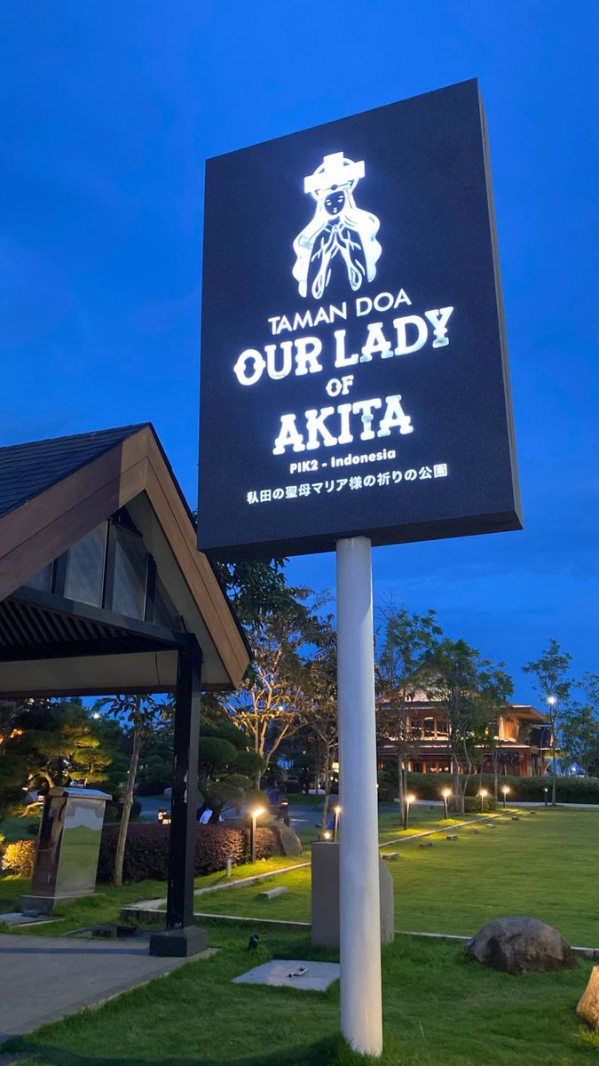 Sally Yin 🍒 tweet media