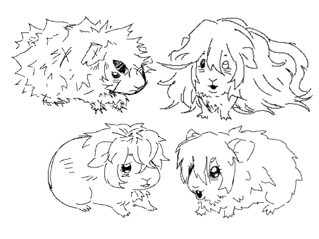 riel 🐦‍⬛ tweet media