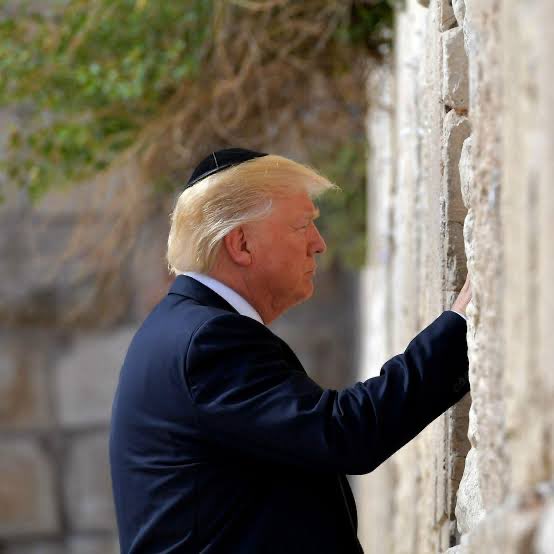 Patrick Star tweet media