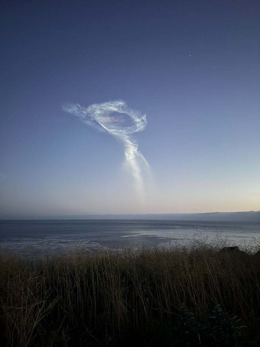 Wesley Wilson tweet media