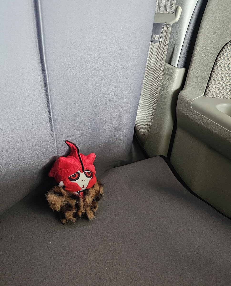 kill_nekomaru's tweet image. 一緒にドライブ🛻