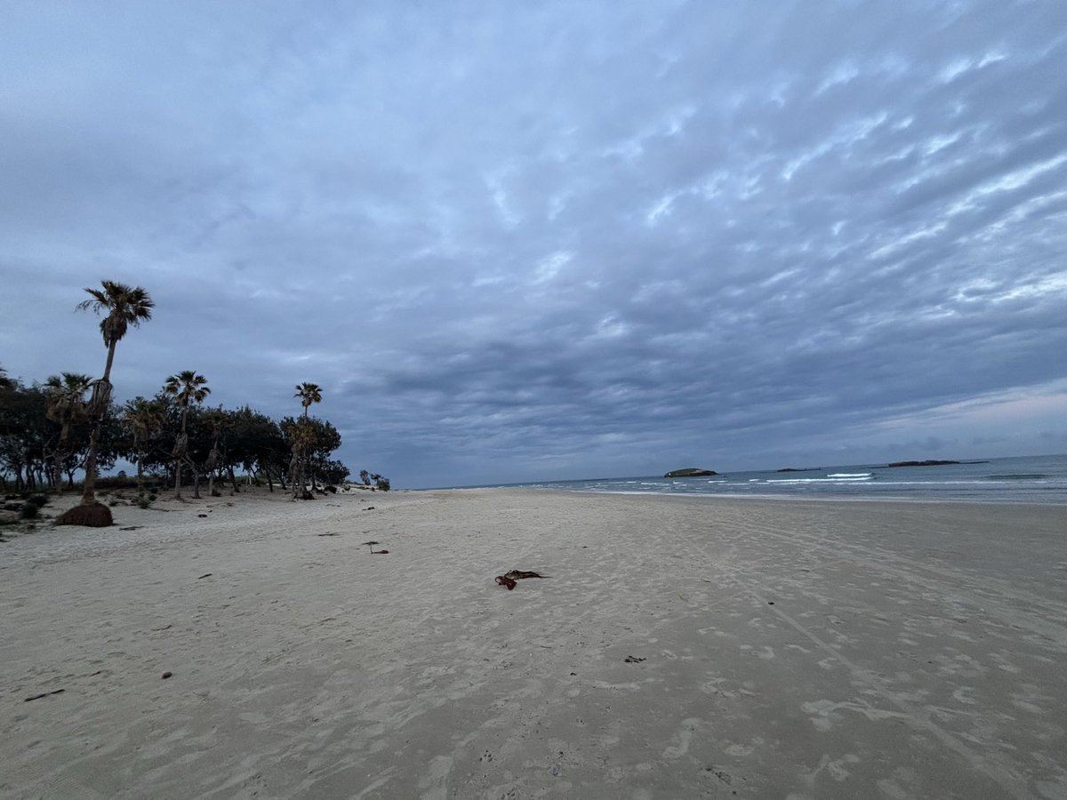 יזמזמית tweet media