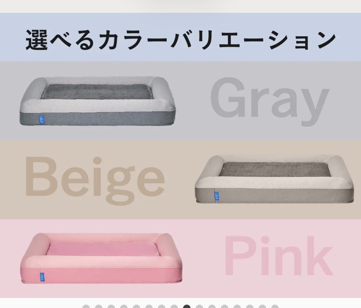 シェルティ　えるちゃん tweet media