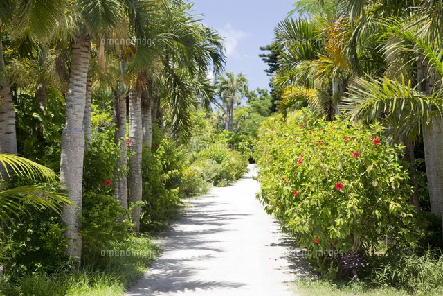 🇯🇵星空音夢🇯🇵🧀👮 tweet media