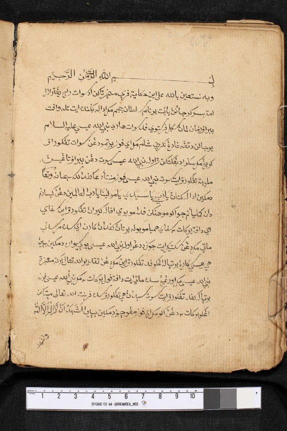 DREAMSEA tweet media