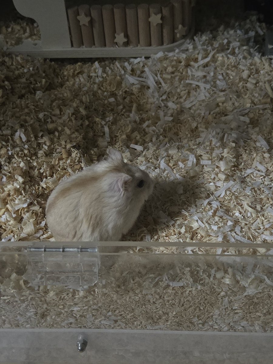 💗💜잉경 tweet media