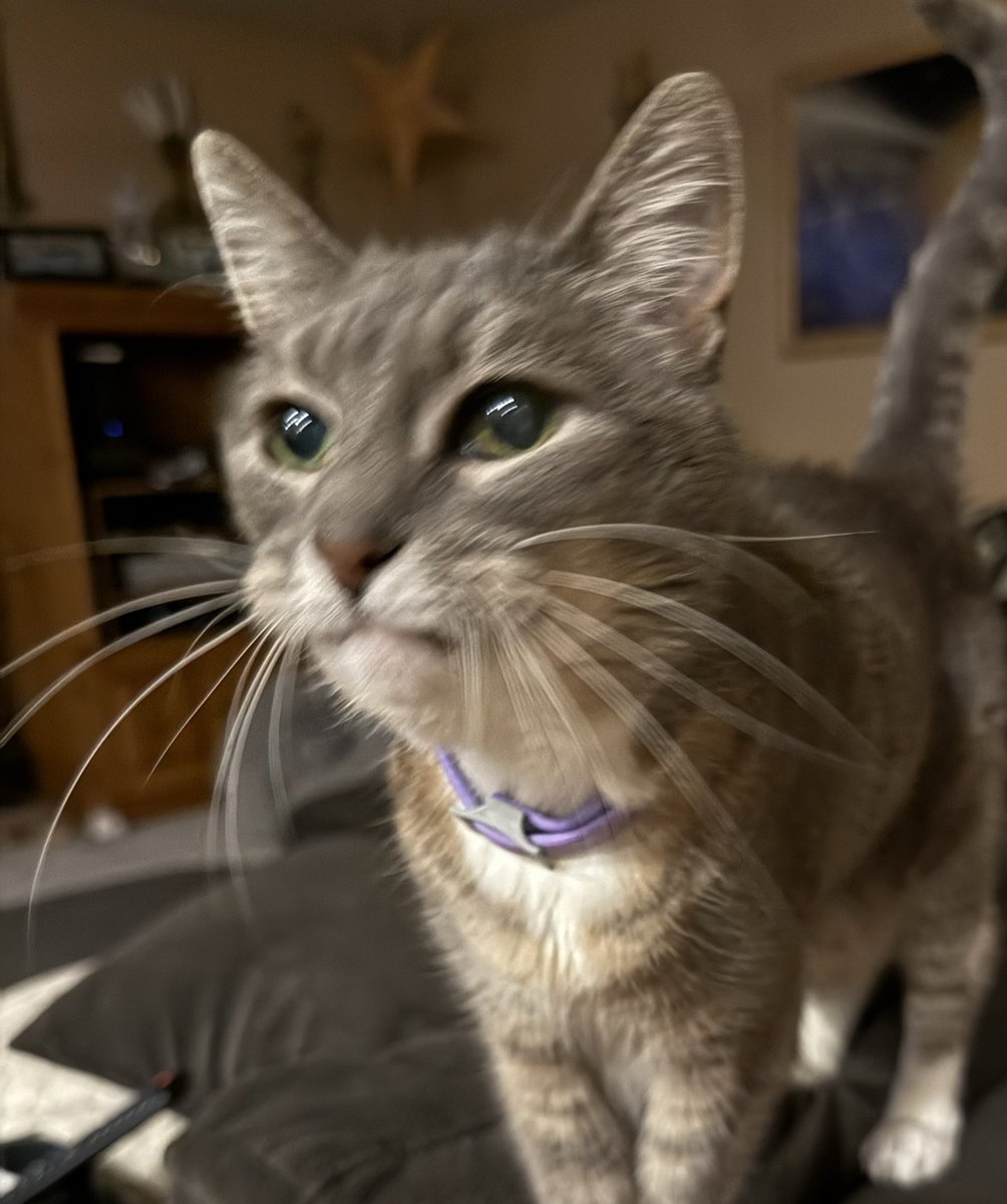 Lori Gilbert, L.Ac tweet media