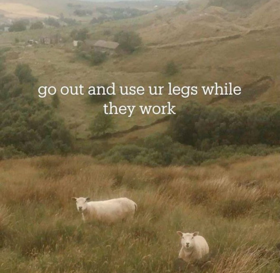 PNWG_Nature tweet media