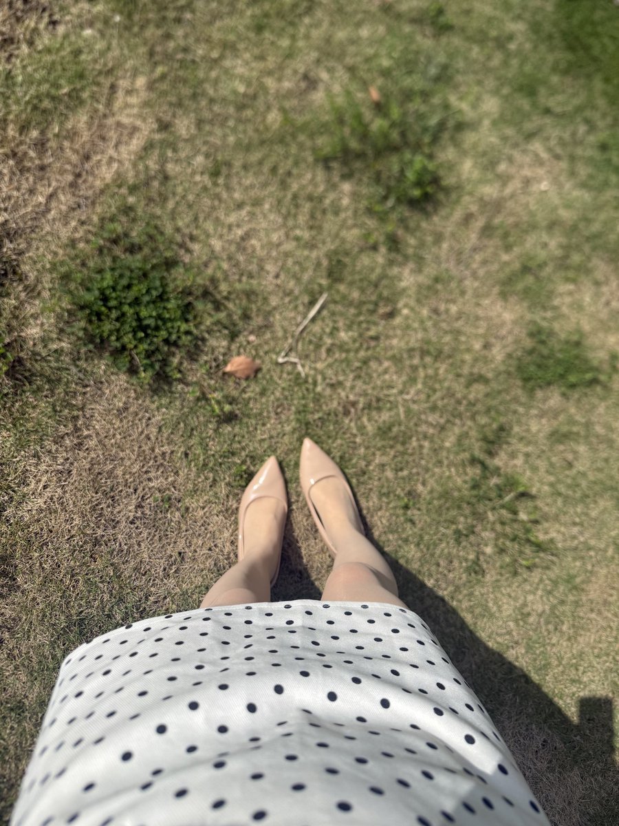 昆明 艾草的香气 tweet media