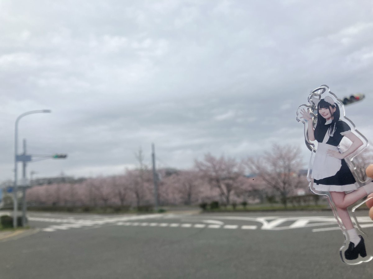 しろうさぎくん🍙🍤 tweet media