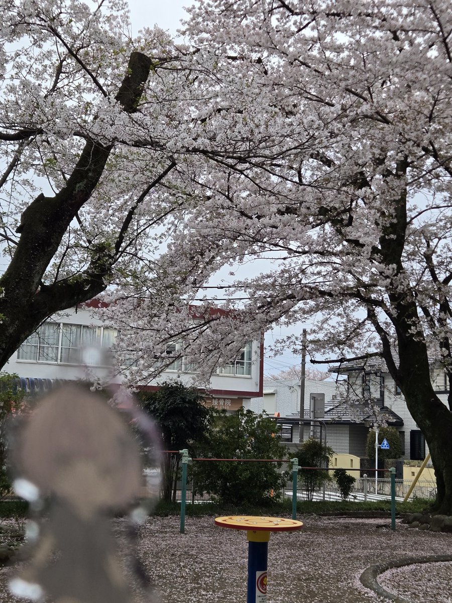 サステーナボゥディベロップメントGo! tweet media