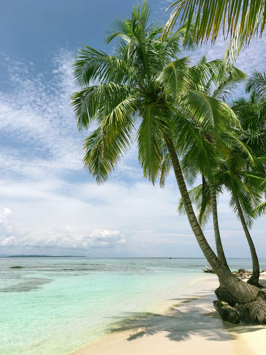 purenature_1's tweet image. Summer holiday mood is on ☀️🏖️ #beach