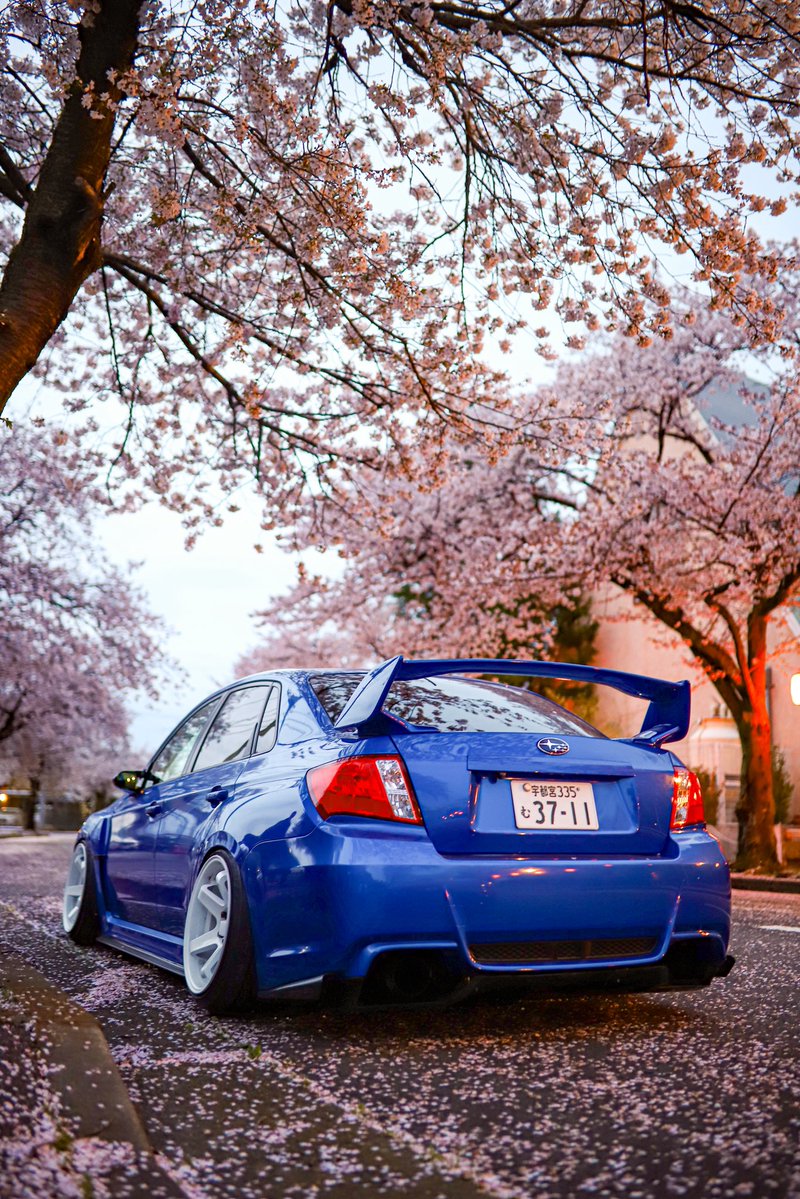 ゆーき tweet media