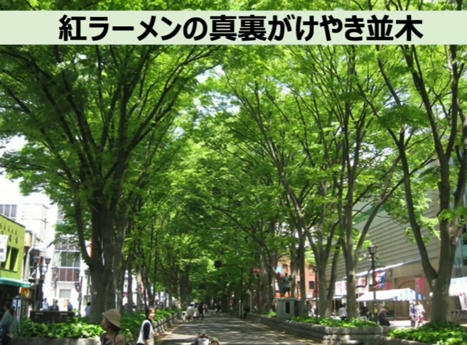 ふちゅニャン @ 府中 tweet media