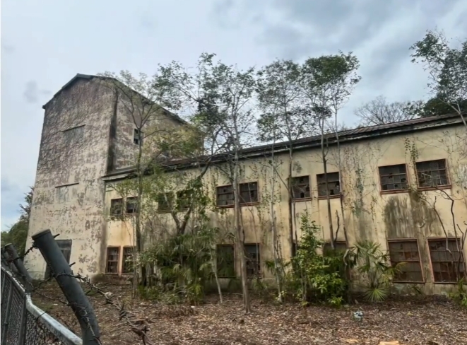 ふちゅニャン @ 府中 tweet media