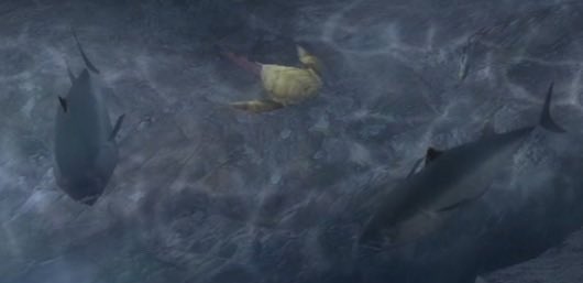 Professor Rugops (Private) tweet media