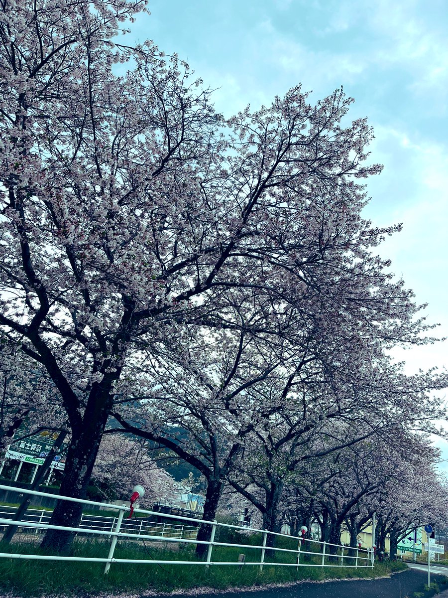 金属アレルギー tweet media