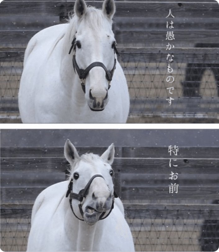 ✨🌹💖上ﾁｬﾏ💎🫶🏻💕 tweet media