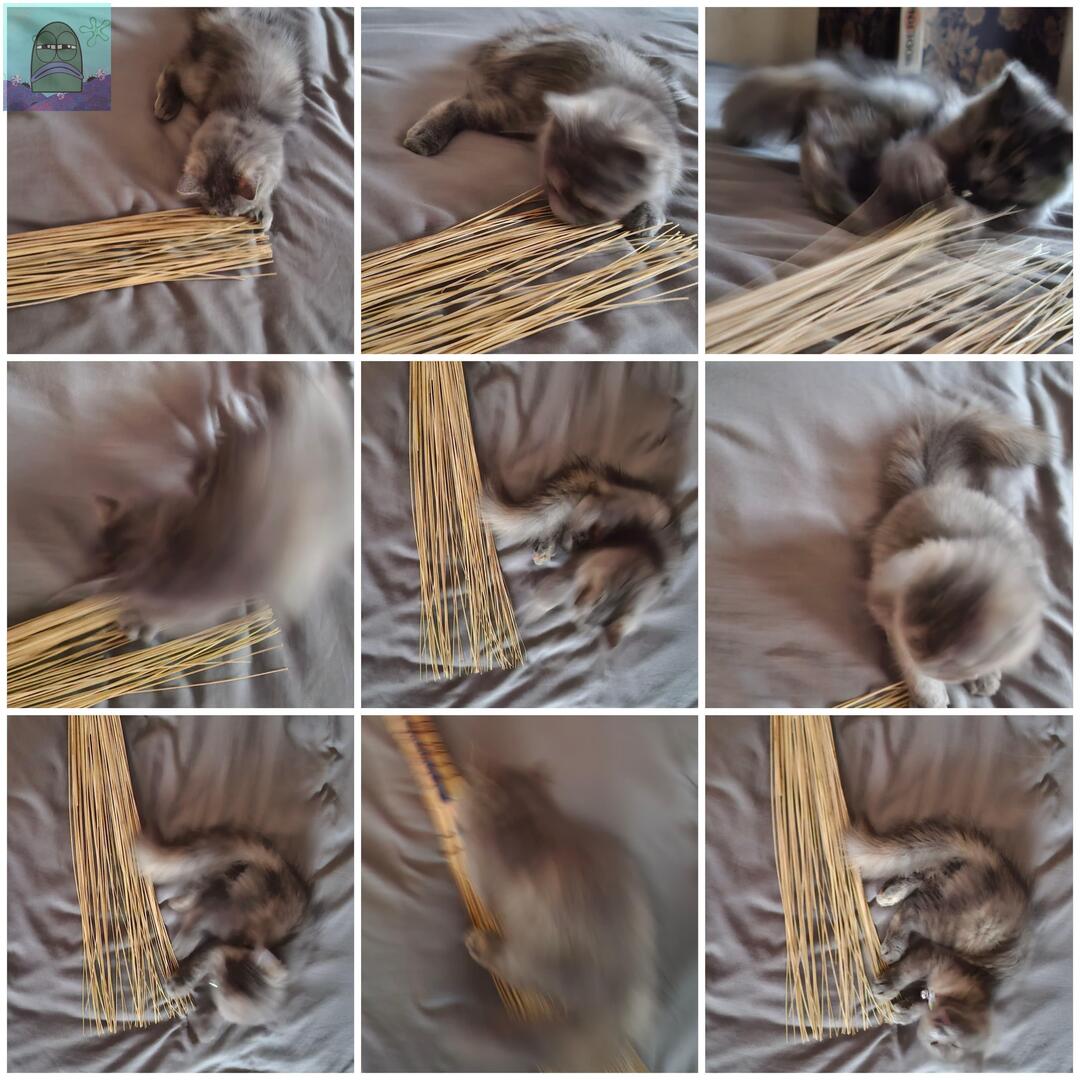 Tanyarl 💚 tweet media