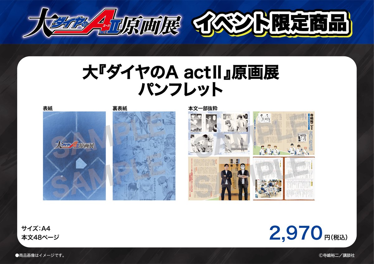 ⚾📢おすすめ商品紹介 🌟『パンフレット』 寺嶋裕二先生×和田毅さんの