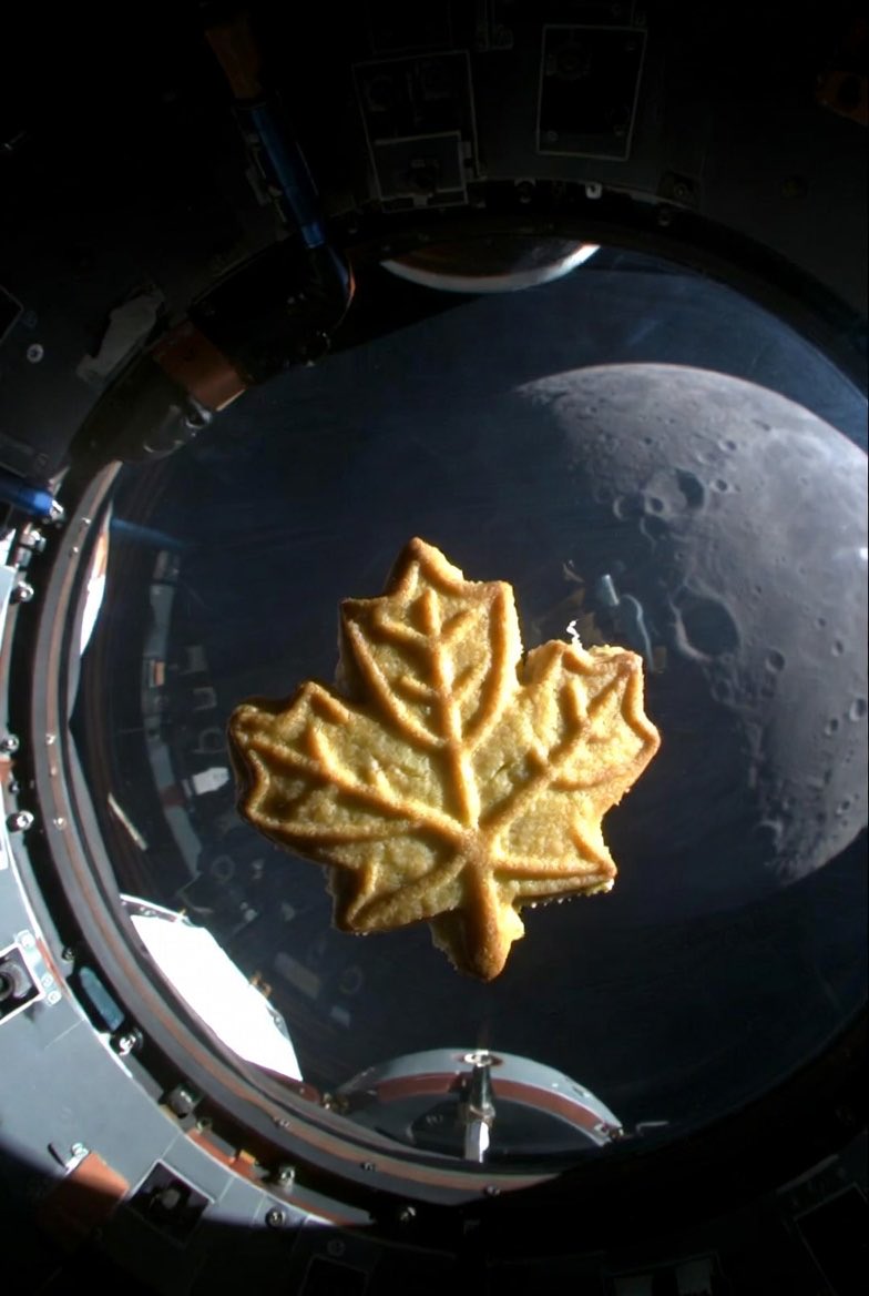 Marc Settino tweet media