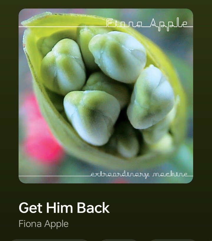 Santito⸆⸉ tweet media