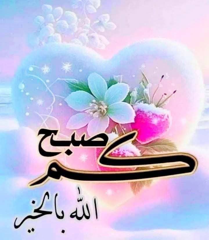 وردة 👈🏻2🎀 tweet media