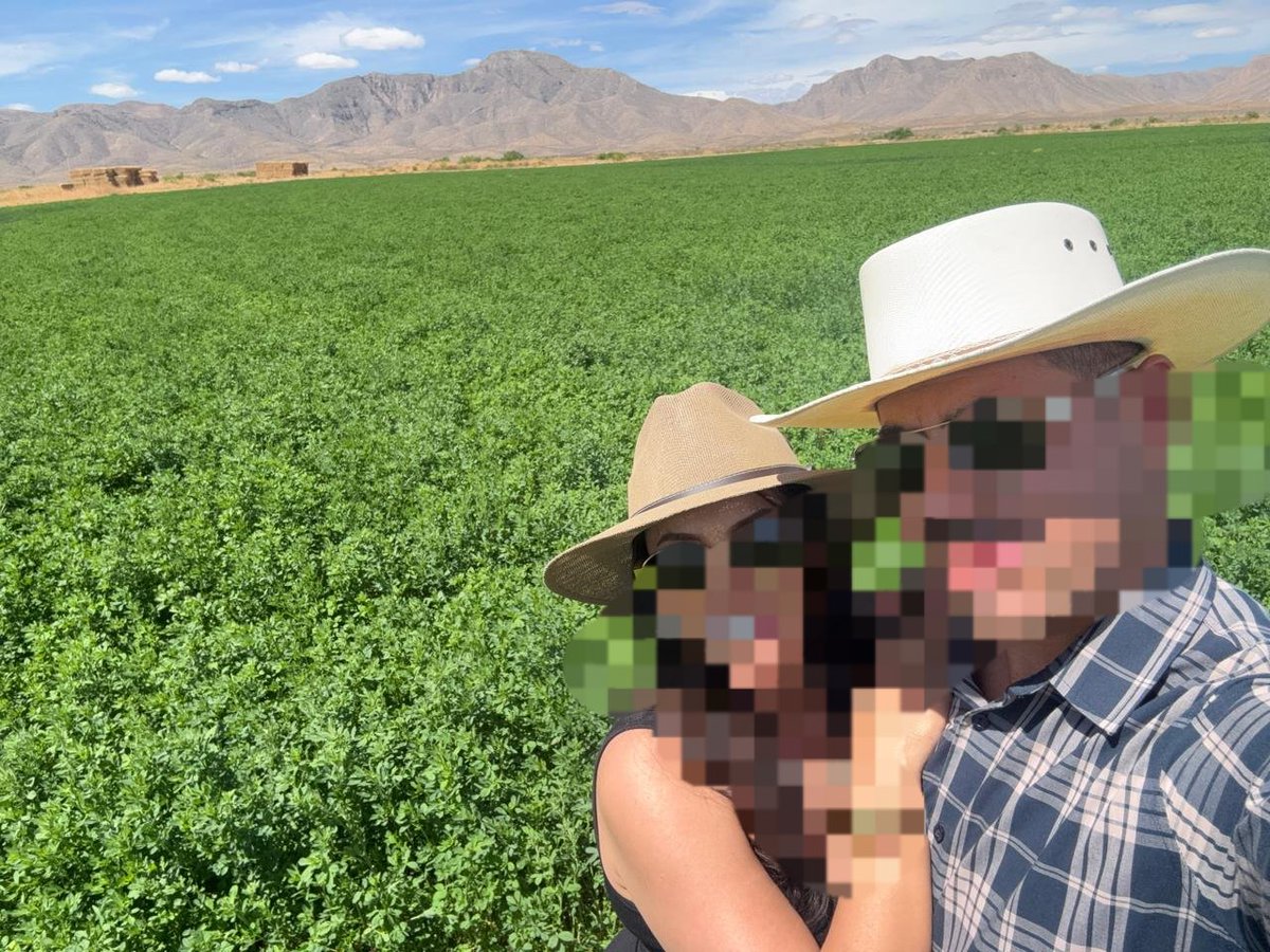 CassandraSW_Del tweet media