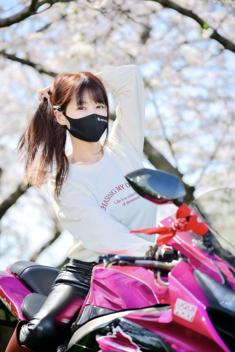 𝐒ちゃん🌸猫Photo Rider tweet media