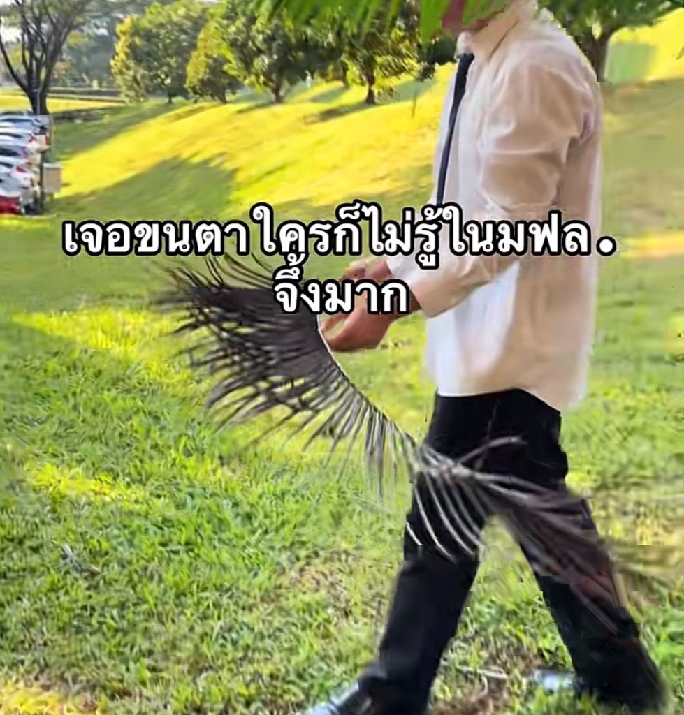 หัวใจเบบี๋เจนลี tweet media