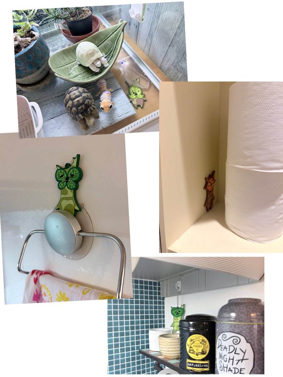 はんぺん🩵🐟🎂 tweet media