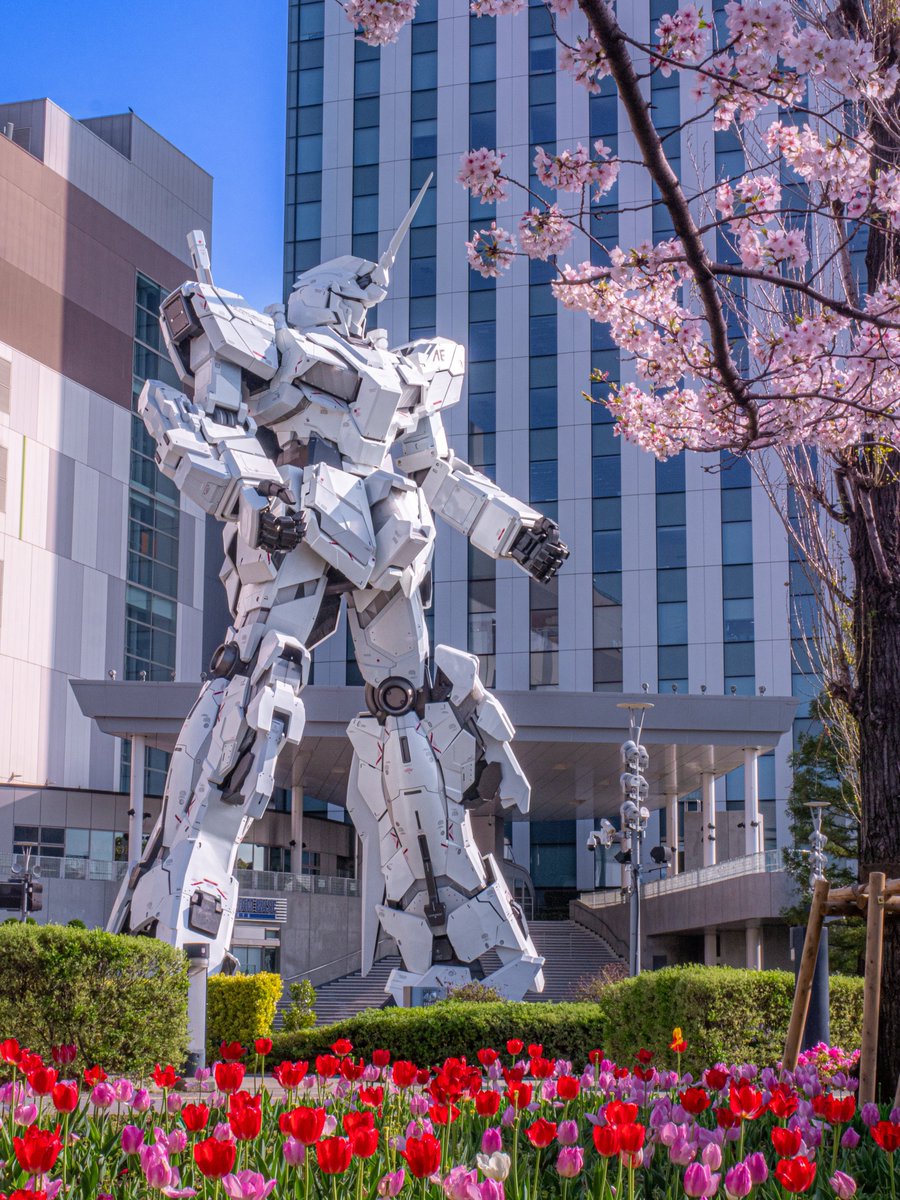 よっくん tweet media