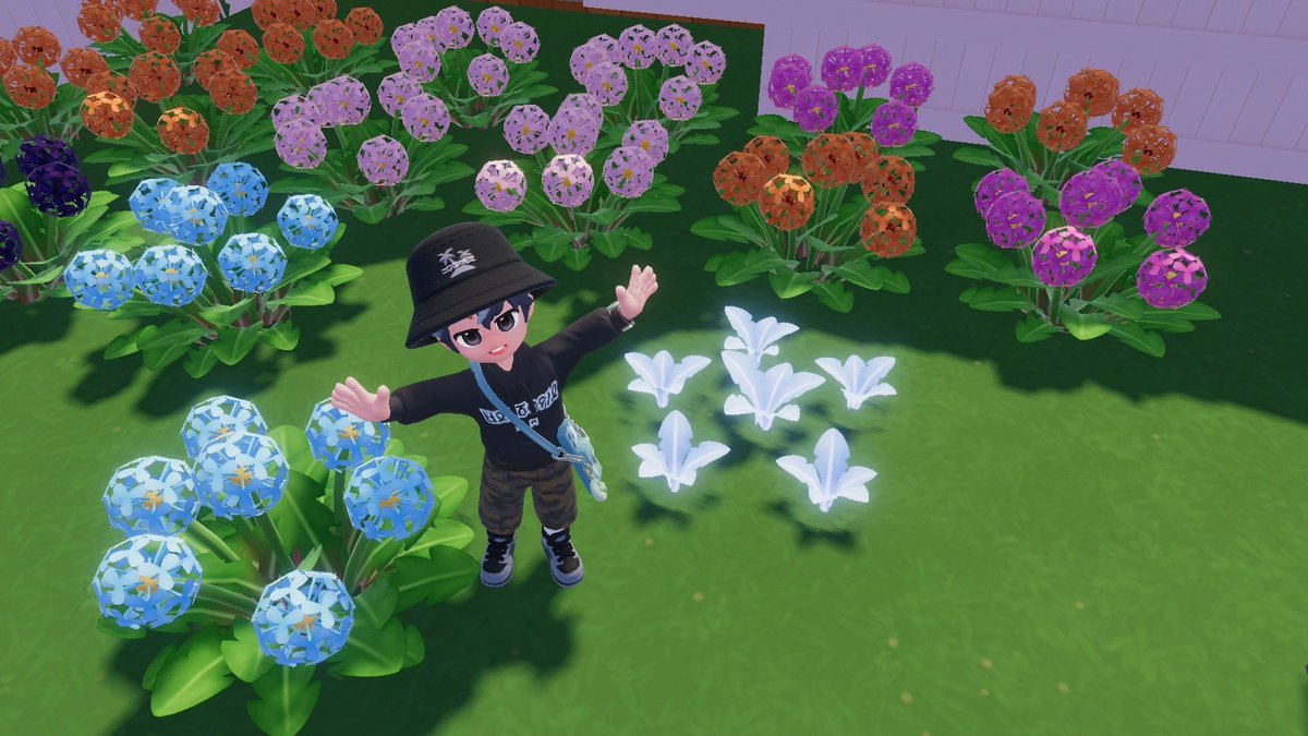 めん🪵 tweet media