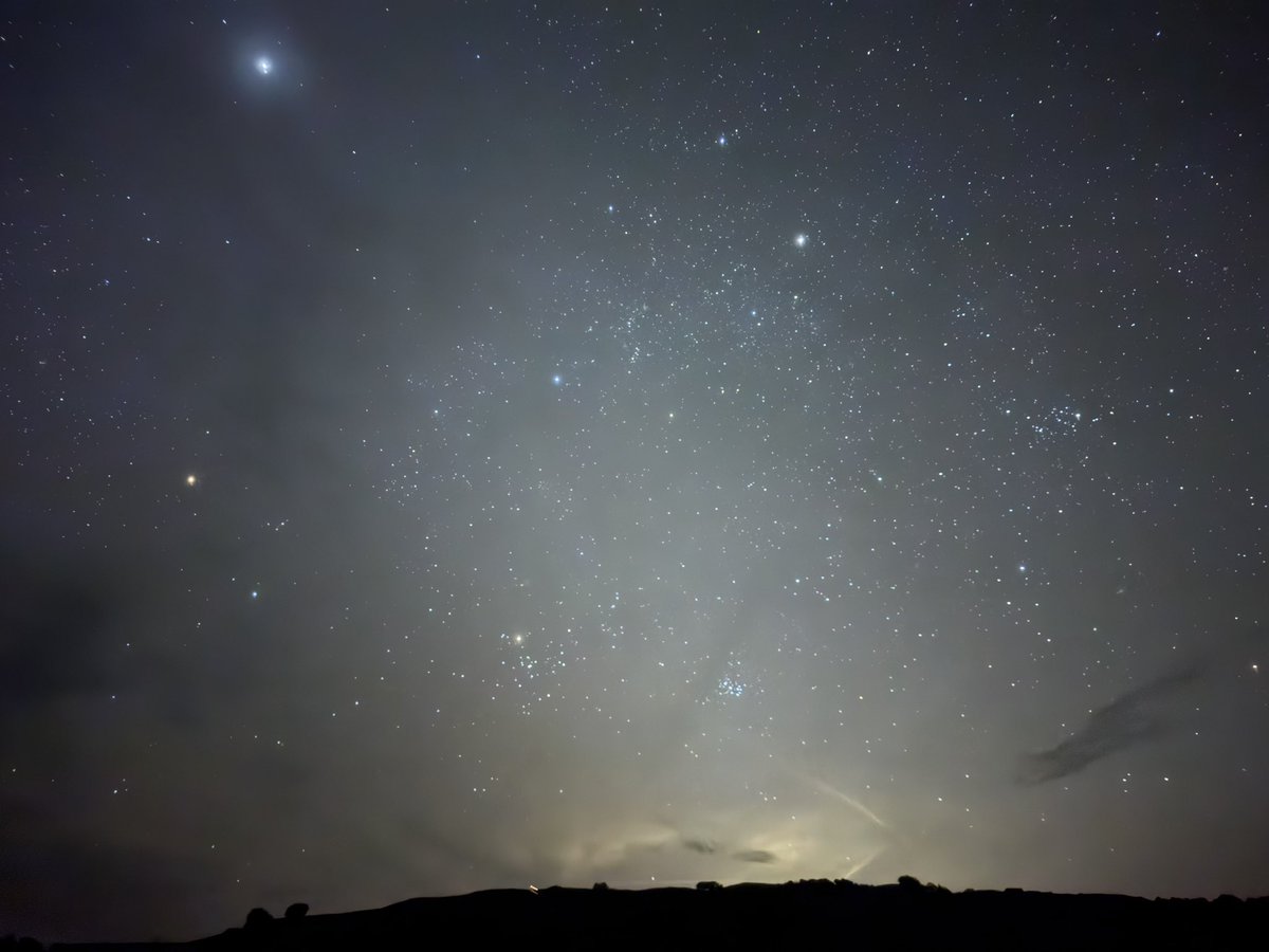 Ryan Scholl |-/ tweet media