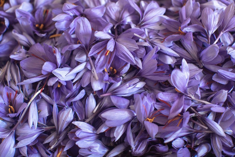 Aseel Swaid tweet media