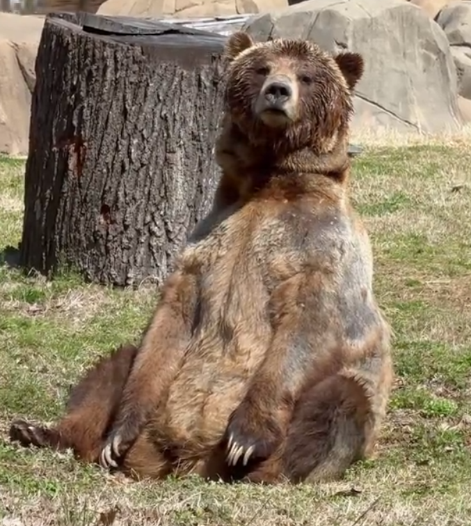 SunnyDales tweet media