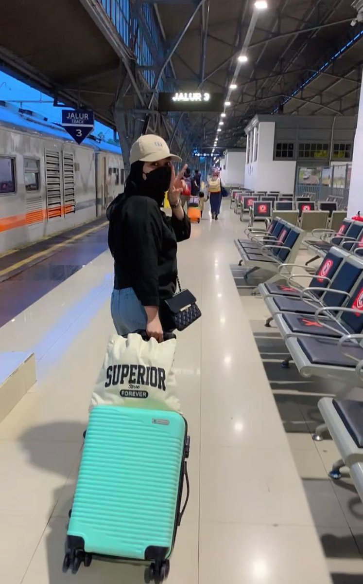 dev 𐙚 tweet media