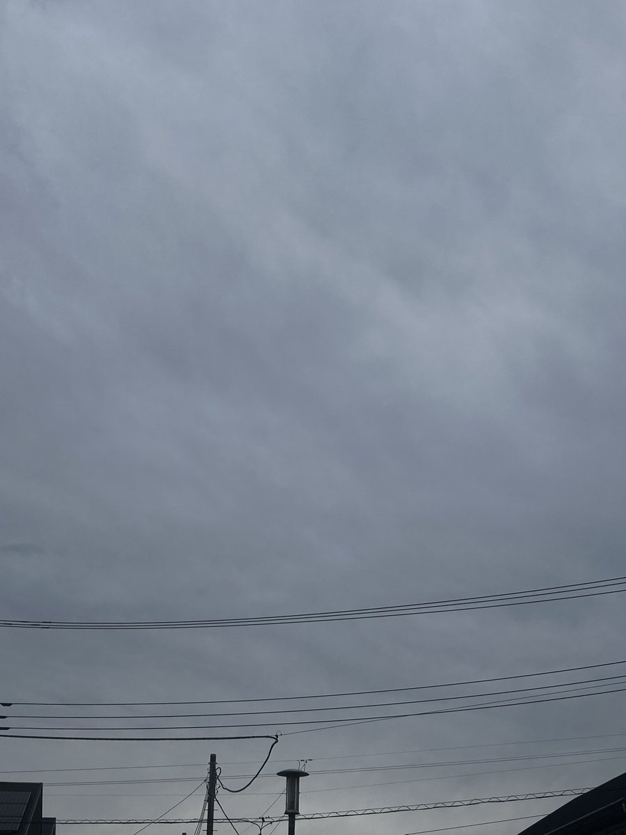 ゆめたろー tweet media