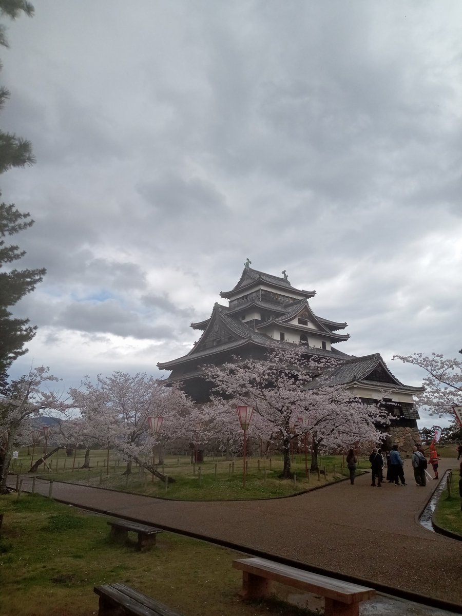 松江城。
空は禍々しいですが、桜は綺麗でした！