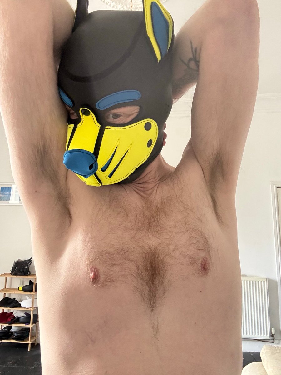 Helios Cobalt 🔜 KK & Collared tweet media