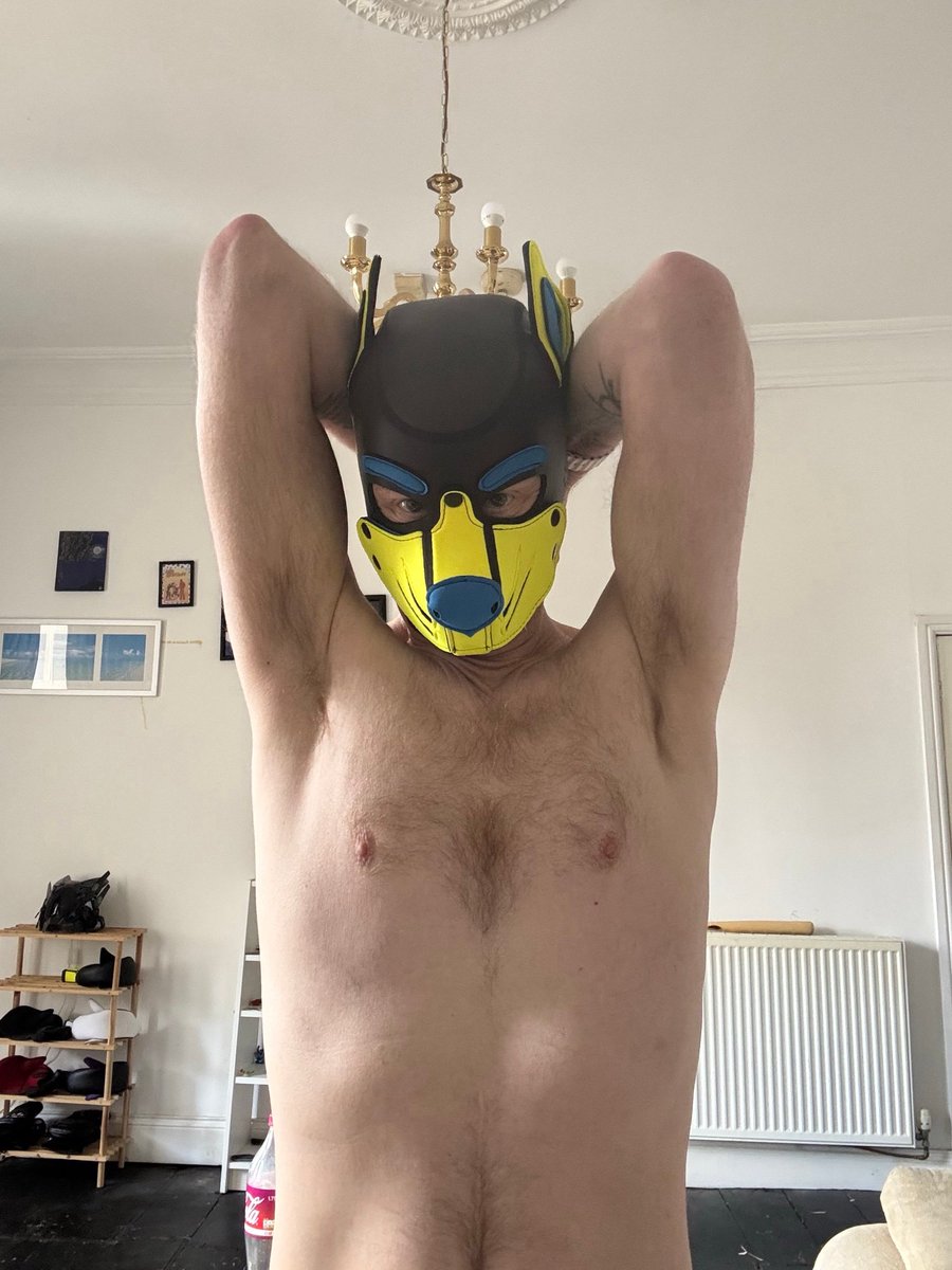 Helios Cobalt 🔜 KK & Collared tweet media