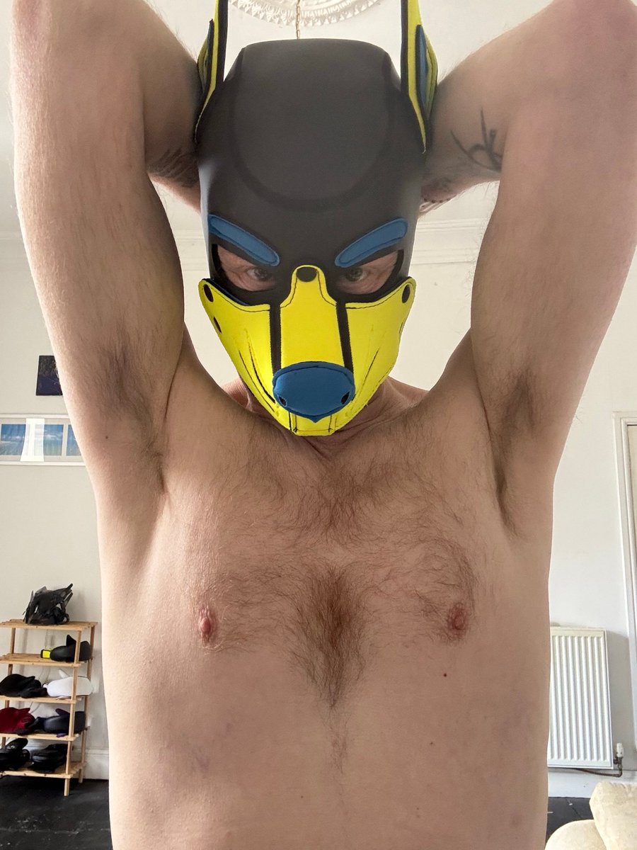 Helios Cobalt 🔜 KK & Collared tweet media