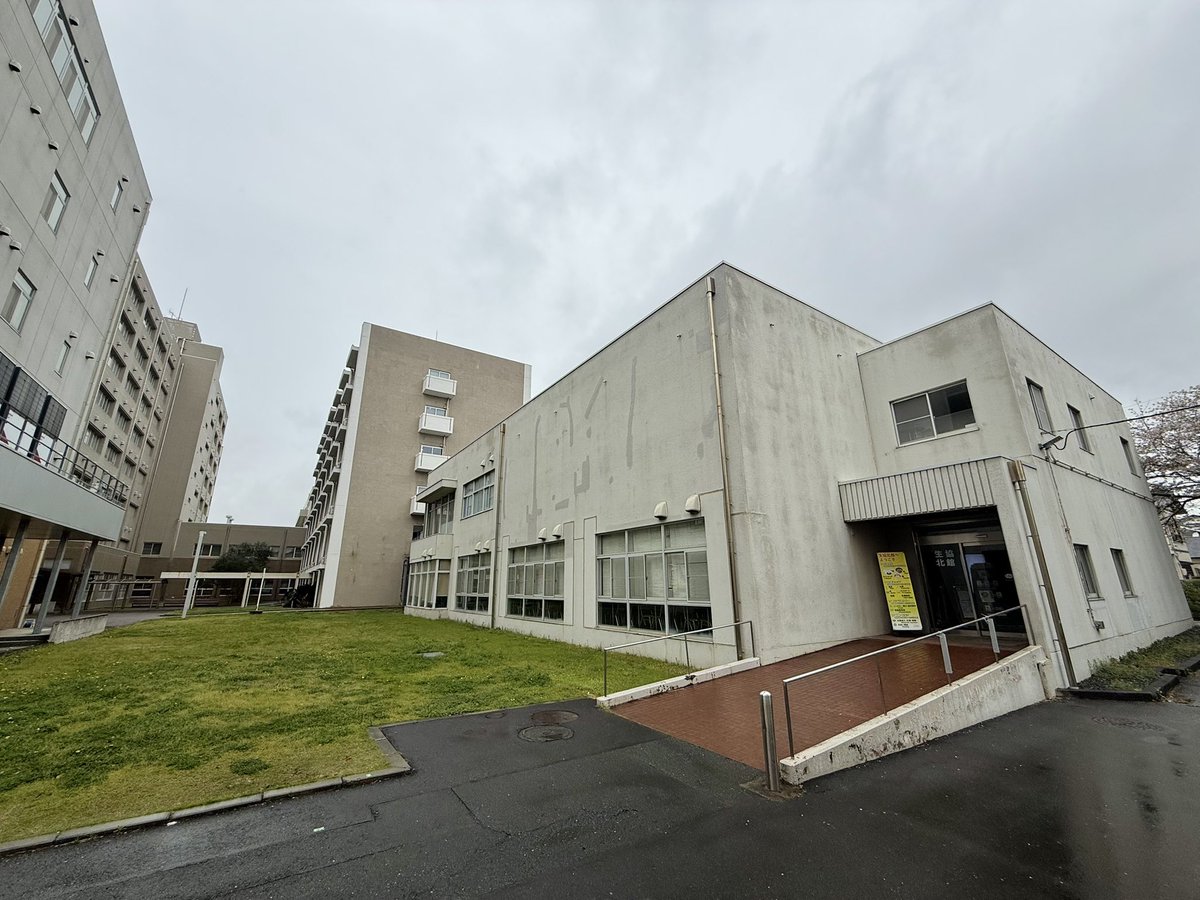 木谷友哉 / Tomoya KITANI (静岡大学 情報学部 広報委員長 / 情報科学科) tweet media