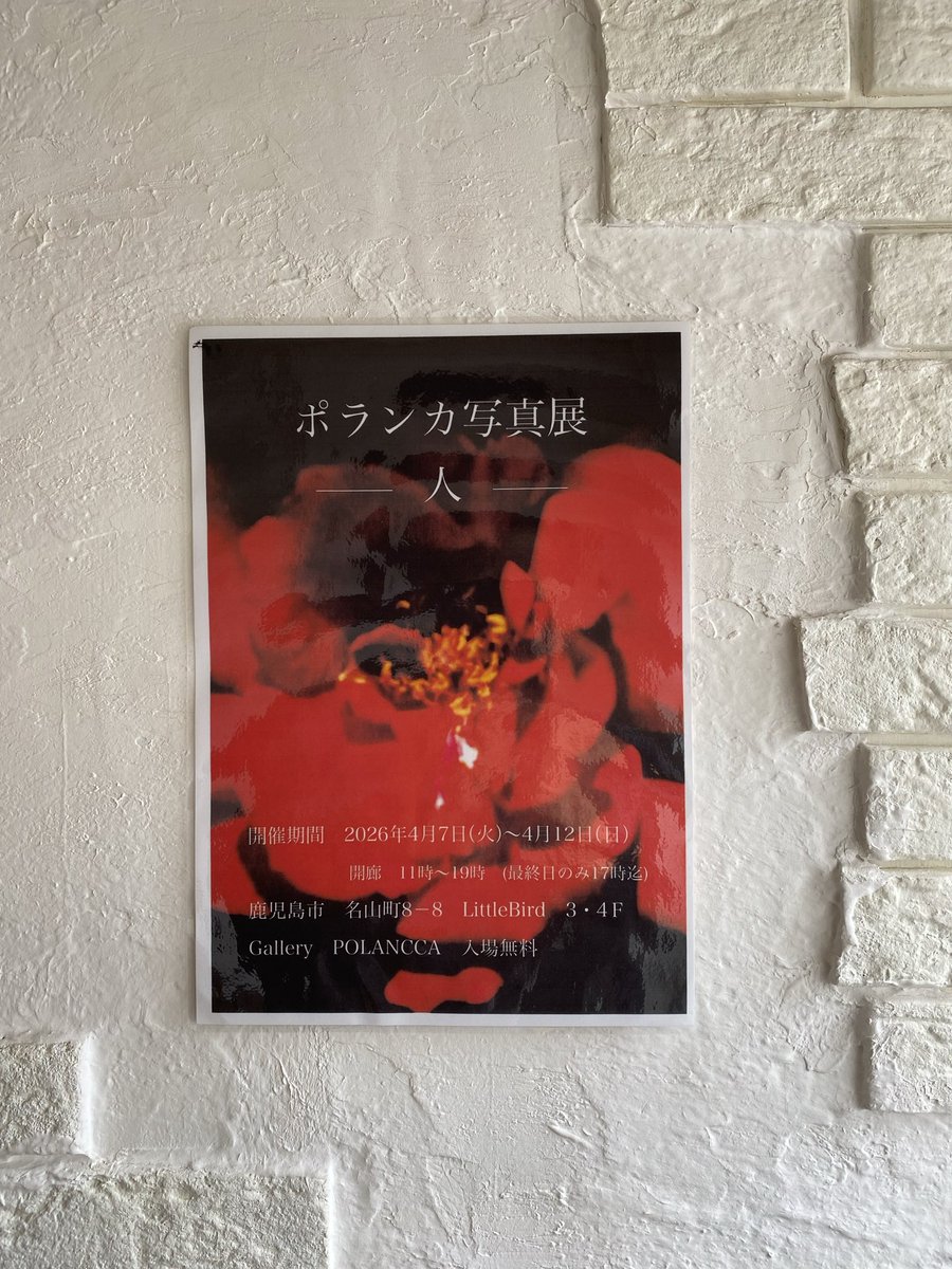 Cafe&Gallery POLANCCA tweet media