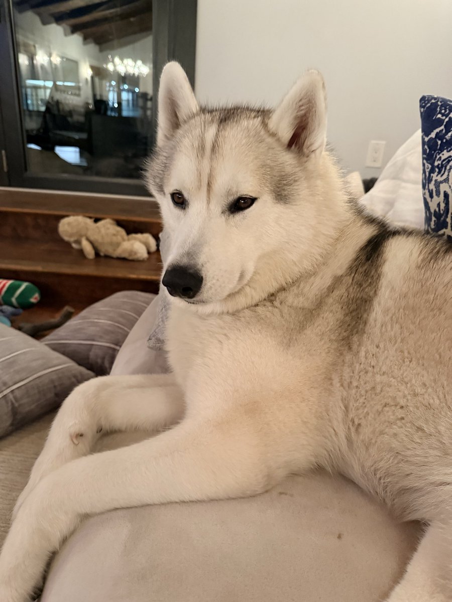 cynthia frelund tweet media