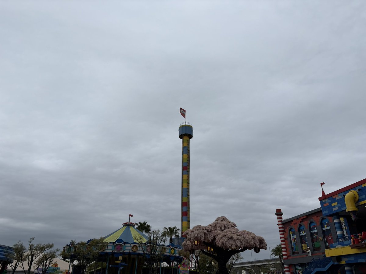 げんぼくしいたけ🍄 tweet media